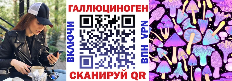 где можно купить   нарко площадка состав  Галлюциногенные грибы мухоморы  Щёлкино 